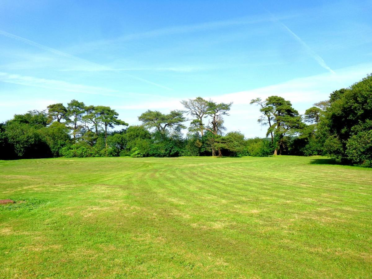 28 Yew Lodge Amroth Exteriér fotografie